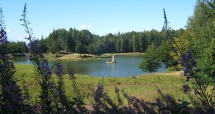 lago calamone