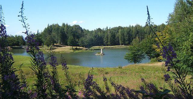 lago calamone