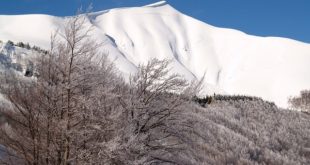 corno alle scale